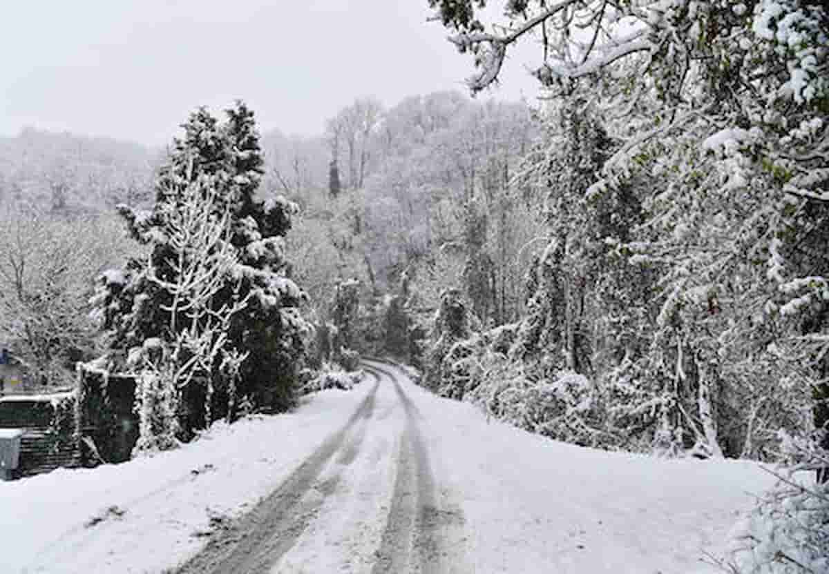 Oroscopo del mese di dicembre, le previsioni degli astri per il segno dell'acquario, come andrà a finire il 2023?