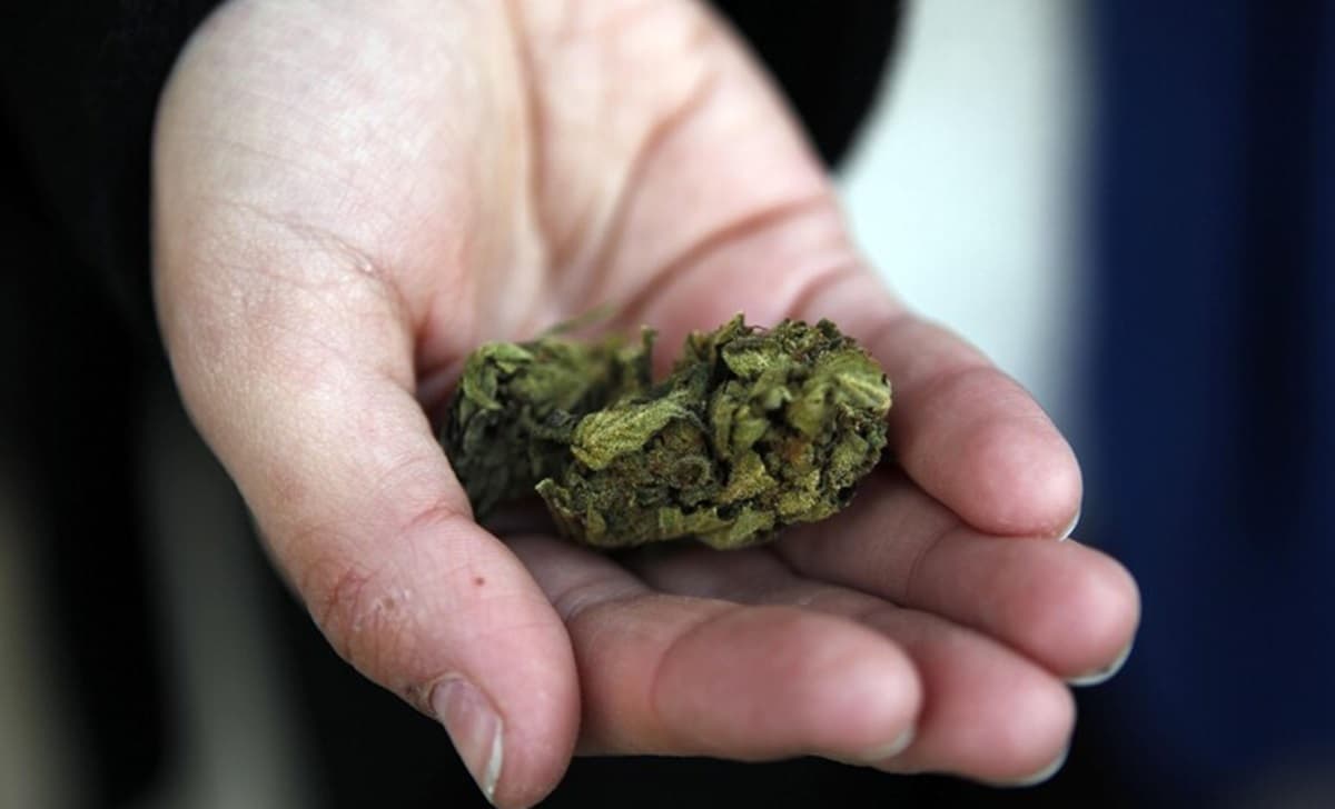 Riceve un pacco con 10 chili di marijuana, casalinga 60enne chiama i carabinieri. Foto d'archivio Ansa