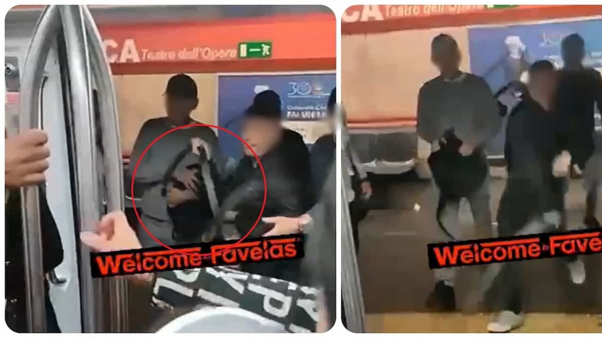 cinghiate metro roma