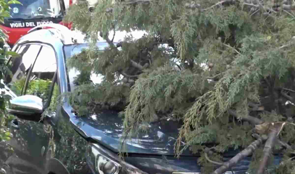 albero cade su auto ad arezzo