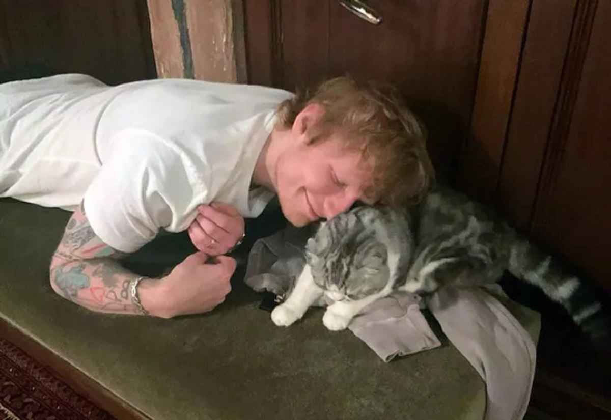ed sheeran gatta taylor swift