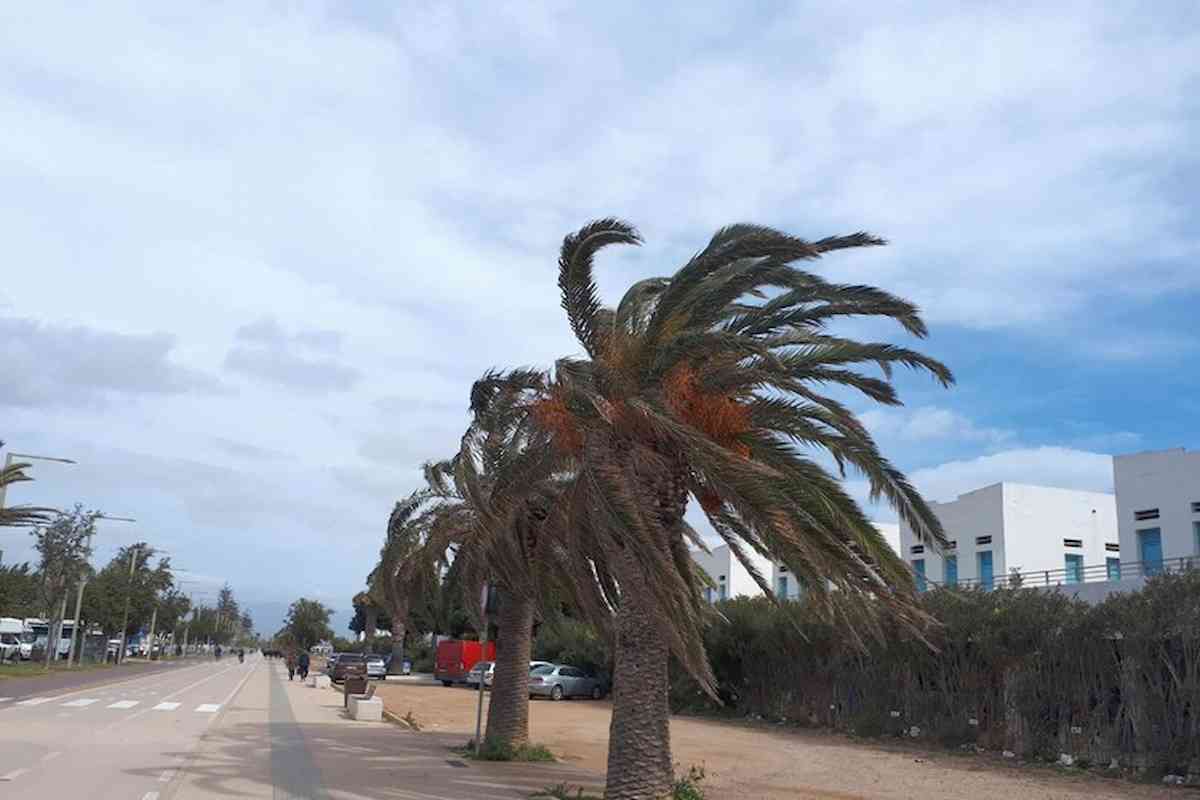 vento forte sardegna