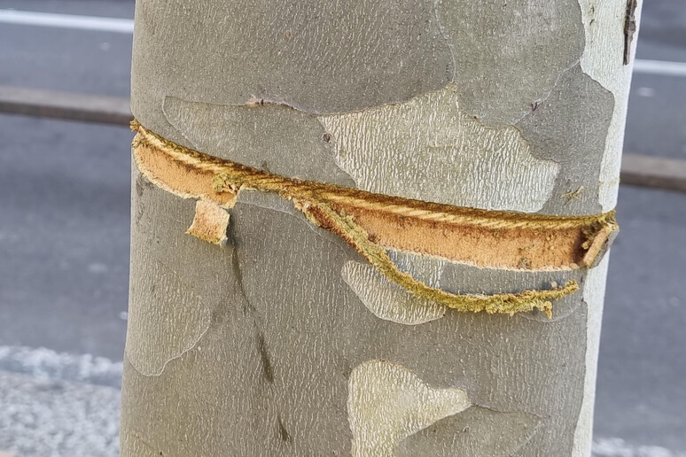 La bravata del 24enne che ha tirato un cavo per strada e rischia il carcere: "Non volevo uccidere"
