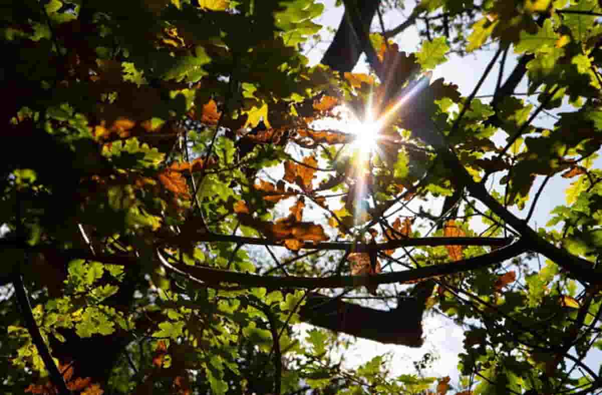 Meteo per i prossimi giorni, foto d'archivio Ansa