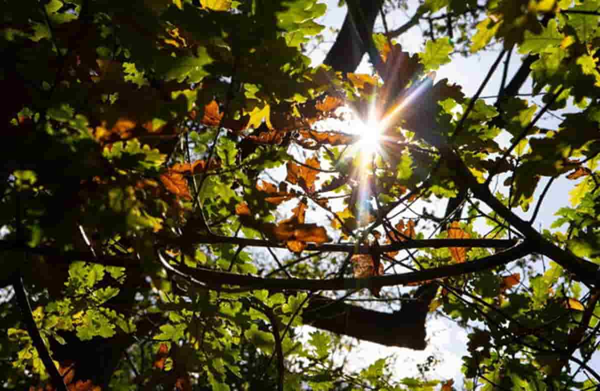 Meteo prossimi giorni, l'anticiclone ancora sull'Italia: bel tempo e... inquinamento. Foto Ansa