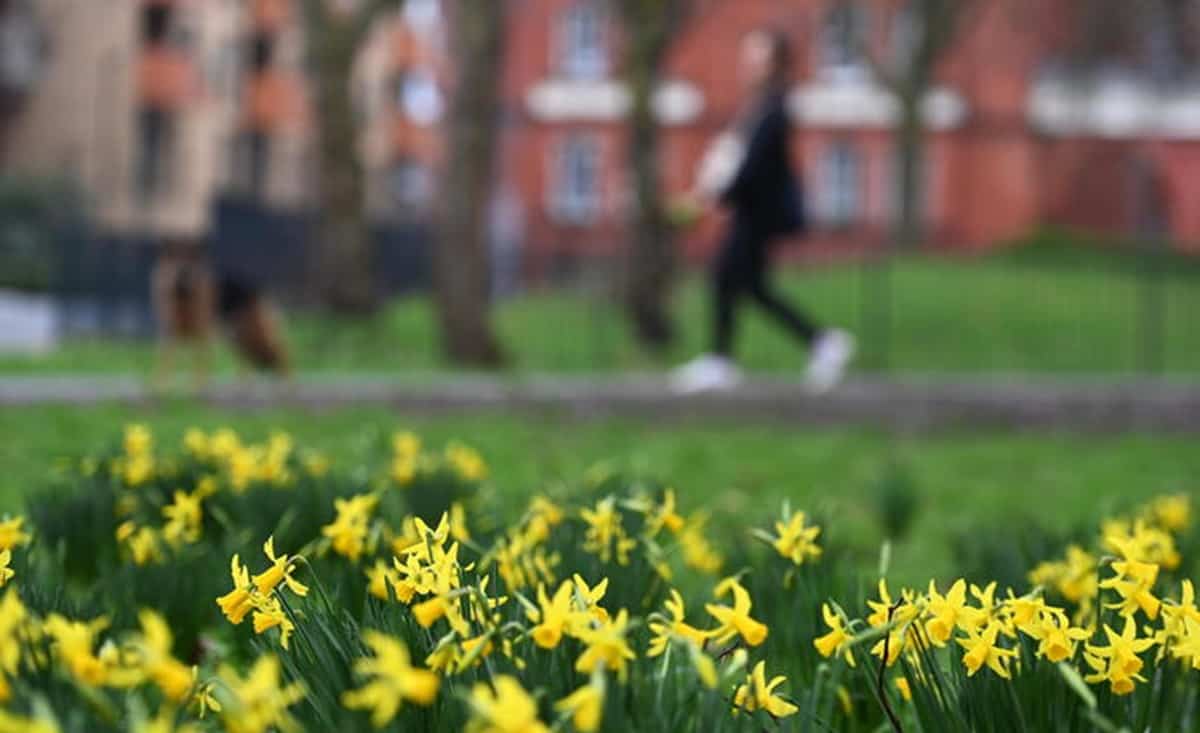 Meteo prossimi giorni, inverno già finito: sole e primavera un po' ovunque. Foto Ansa
