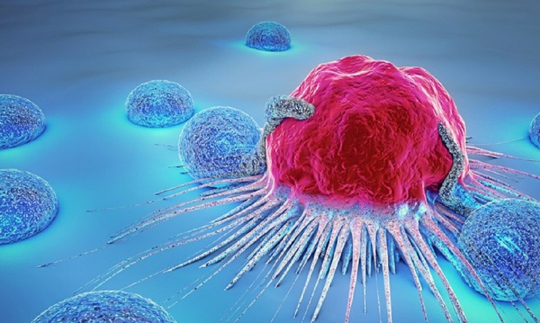 Terapia Car-T, come funziona