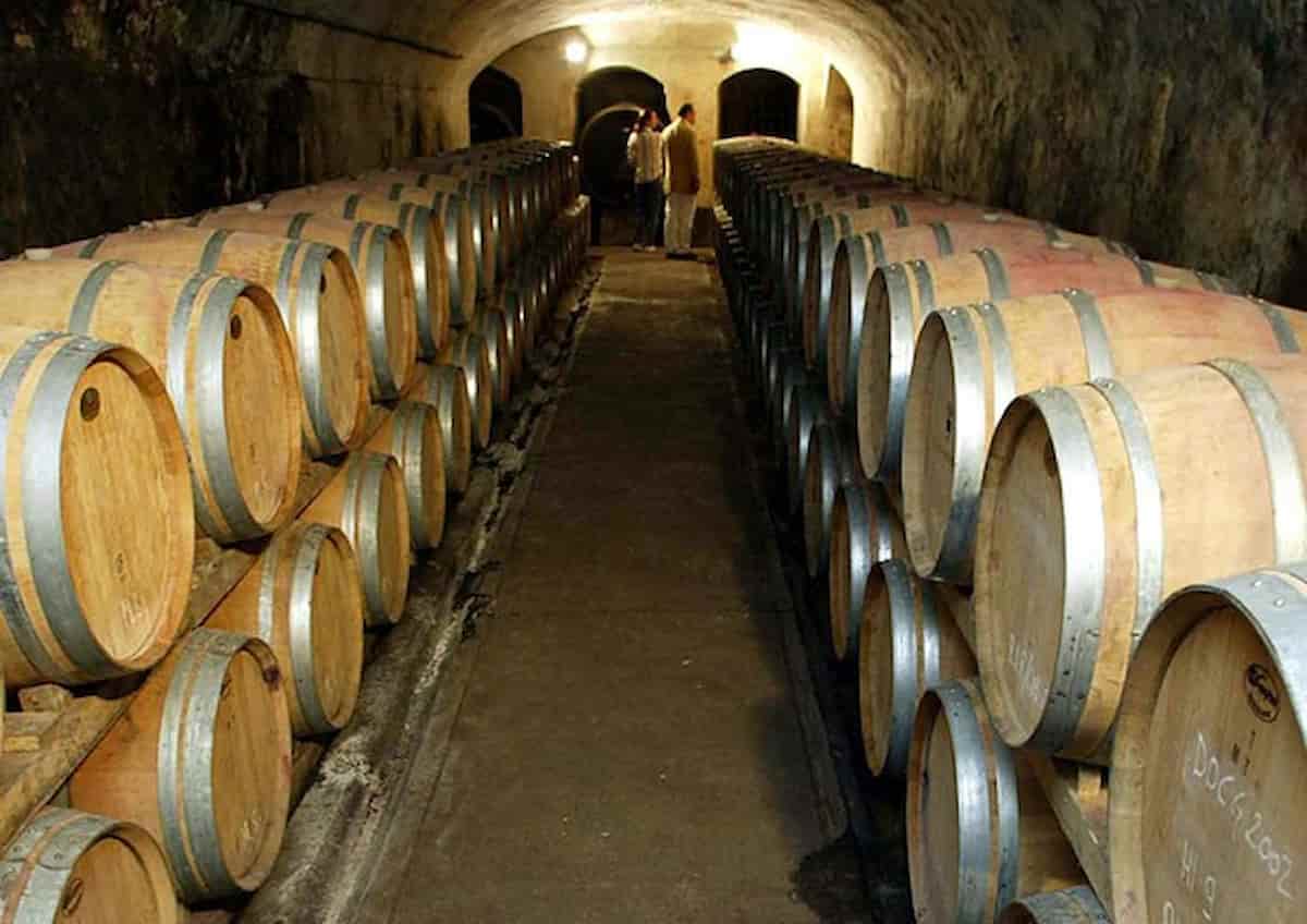 Vino buono, pulito e giusto, a Bologna la Fiere, torna “Slow Wine Fair” (25-27 febbraio), Cantine di 27 Paesi del mondo, presenti tutte le regioni d’Italia.