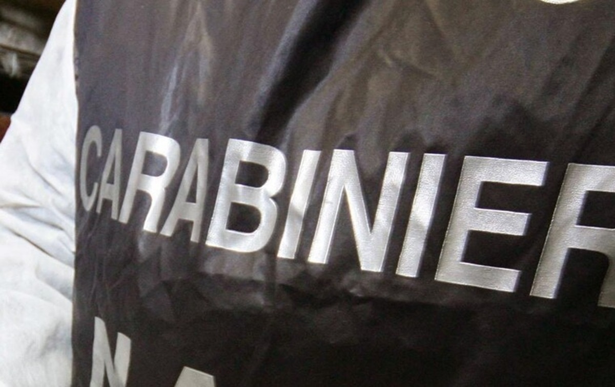 Nas, foto d'archivio Ansa