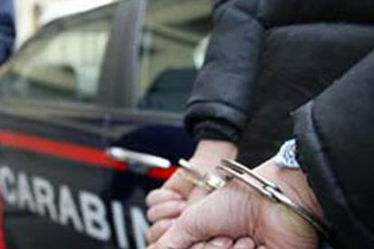 pavia accoltellato operaio