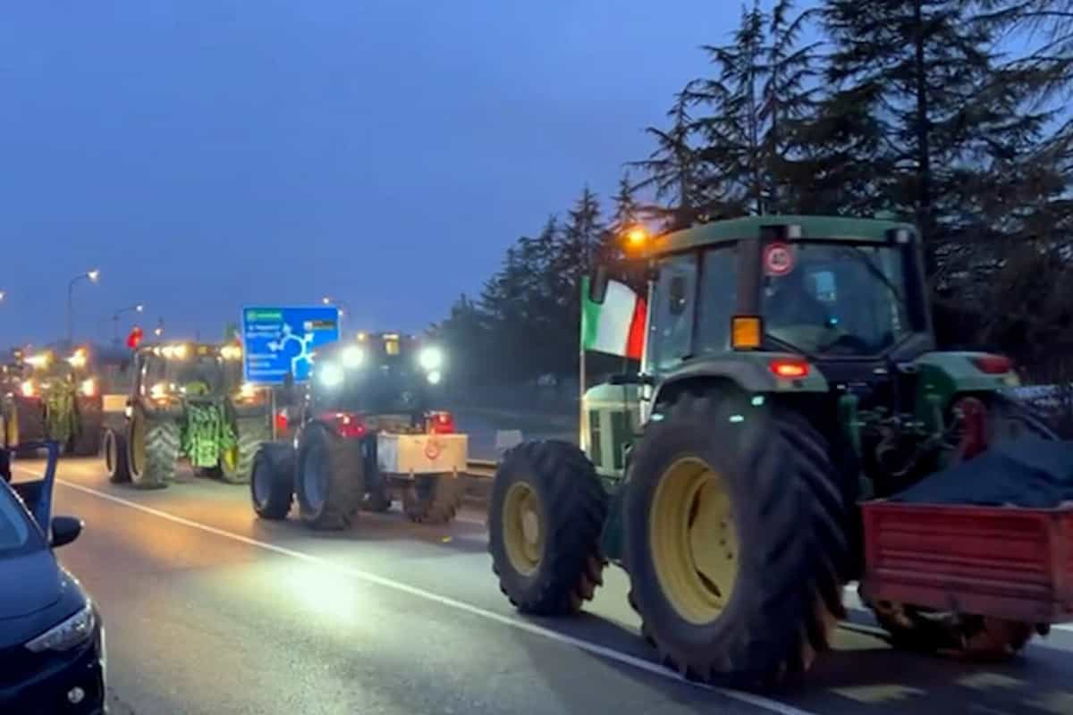 trattori lollobrigida riscatto agricolo