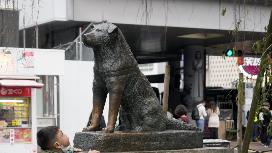 Hachikō