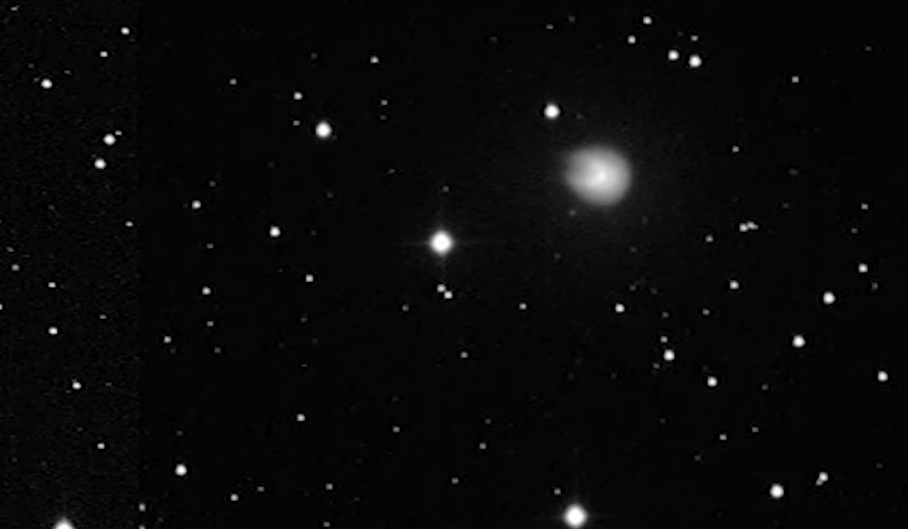 cometa cornuta