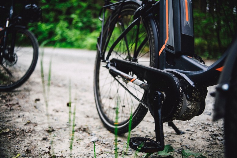 Ciclista aggredito da un cane, gravi ferite alla testa e al volto