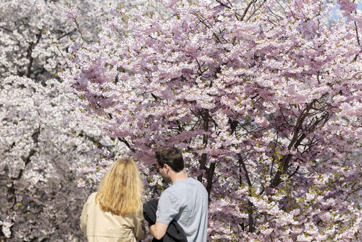 Che tempo farà nei prossimi giorni? FOTO ANSA