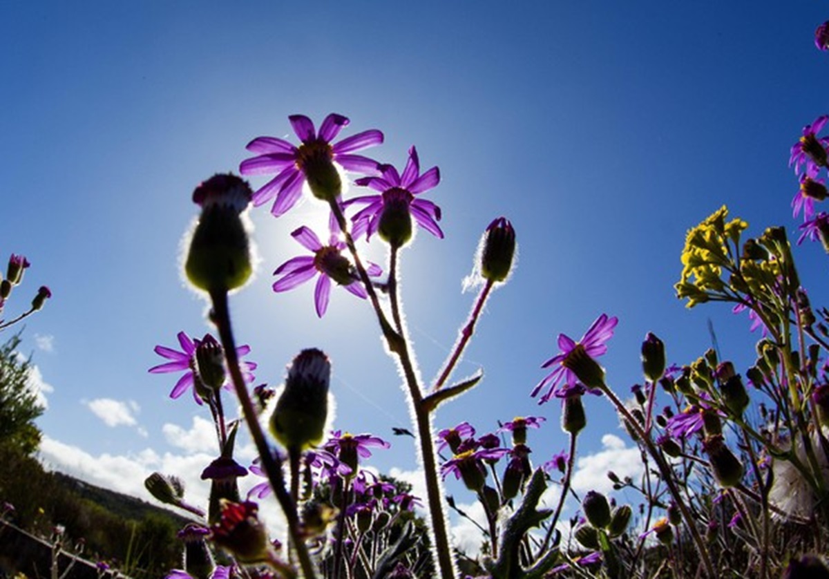Che tempo farà nei prossimi giorni, foto archivio ANSA