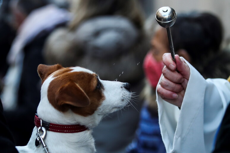 parroco caccia cane chiesa