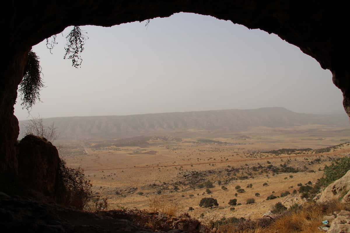 Nelle paludi della Mesopotamia è  in corso una lotta per la sopravvivenza di un ambiente che negli ultimi 50 anni l'uomo ha fatto di tutto per distruggere.