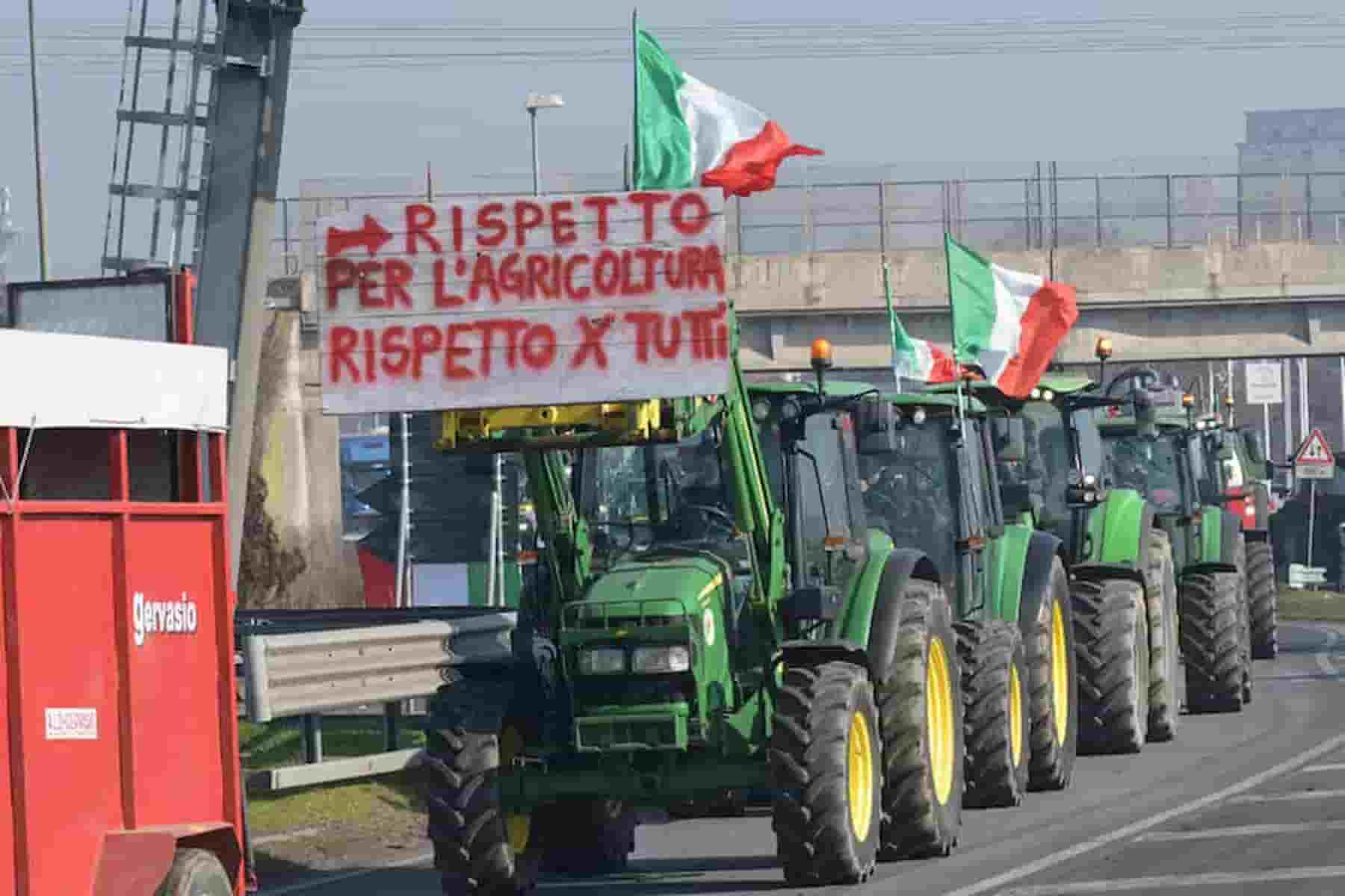 Il grano di Ucraina e Russia fanno soffrire gli agricoltori europei, nota di Confagricoltura