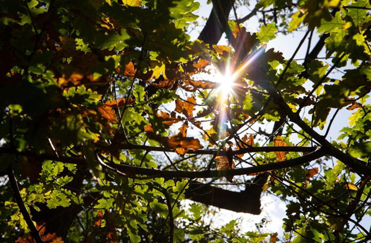 Bel tempo, foto archivio ANSA