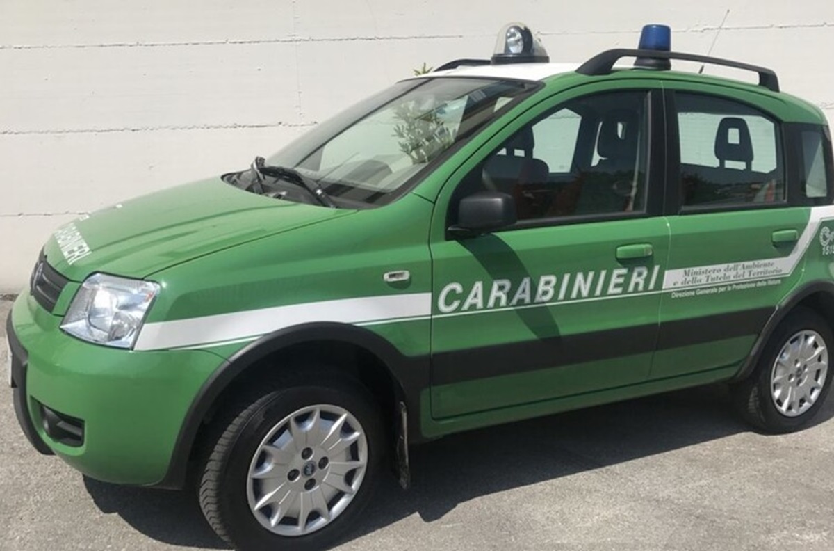 Carabinieri, foto archivio ANSA